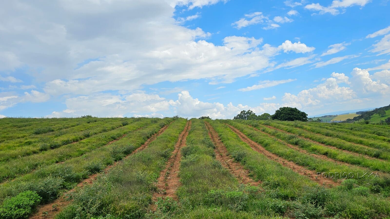 Fazenda para venda em Três Corações MG