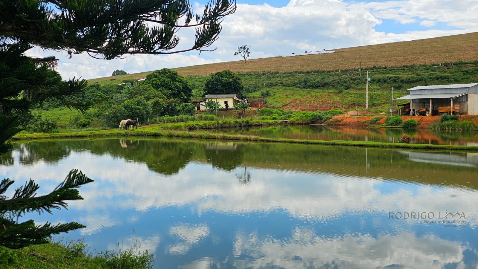 Fazenda para venda em Três Corações MG