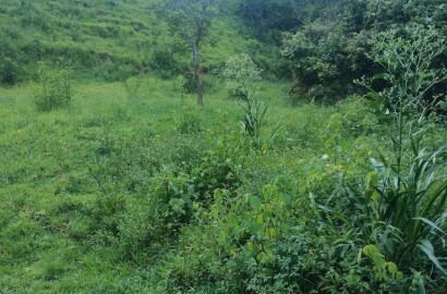 Fazenda para venda em Carvalhos MG