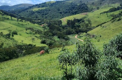 Fazenda para venda em Carvalhos MG