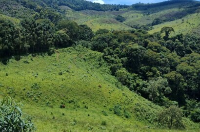 Fazenda para venda em Carvalhos MG
