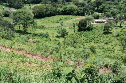 Fazenda para venda em Carvalhos MG