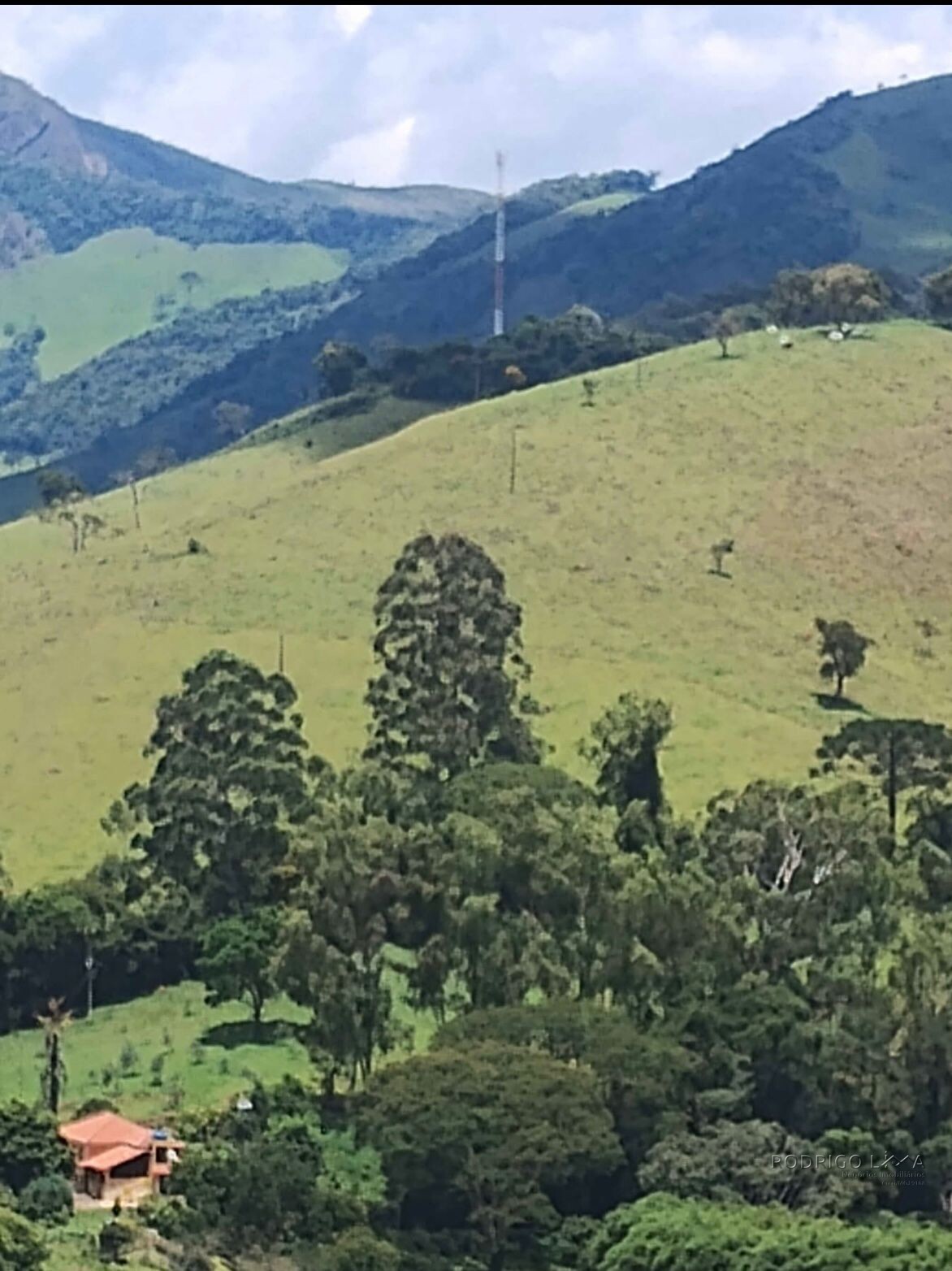 Fazenda para venda em Carvalhos MG