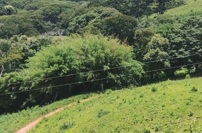 Fazenda para venda em Carvalhos MG
