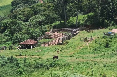 Fazenda para venda em Carvalhos MG
