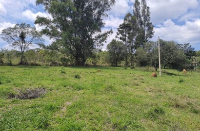 Fazenda para venda em Carvalhos MG