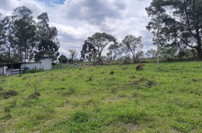 Fazenda para venda em Carvalhos MG
