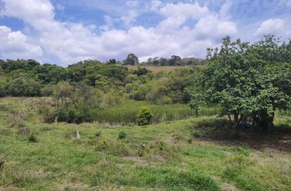 Fazenda para venda em Carvalhos MG