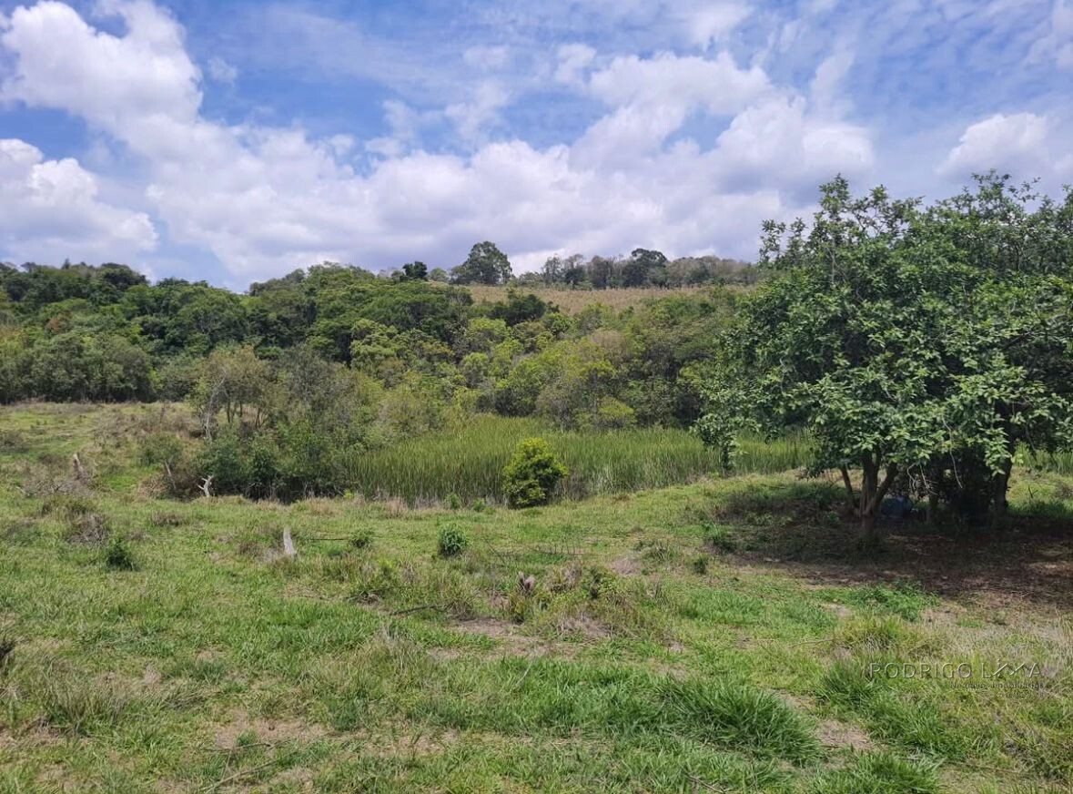 Fazenda para venda em Carvalhos MG