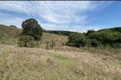 Fazenda para venda em Carvalhos MG