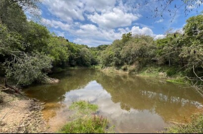Fazenda para venda em Carvalhos MG