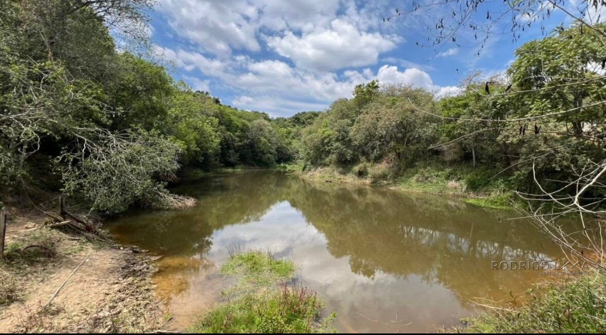 Fazenda para venda em Carvalhos MG