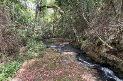Fazenda para venda em Carvalhos MG