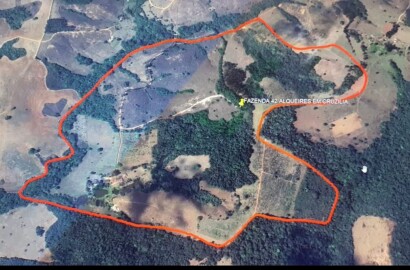 Fazenda para venda em Carvalhos MG