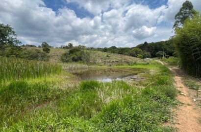 Fazenda para venda em Carvalhos MG