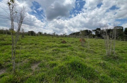 Fazenda para venda em Carvalhos MG