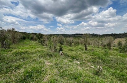 Fazenda para venda em Carvalhos MG