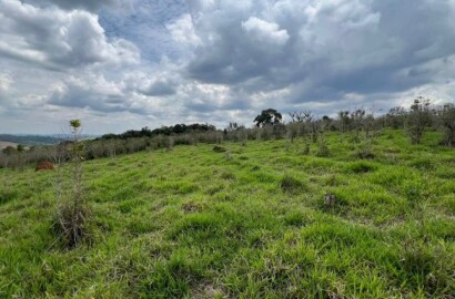 Fazenda para venda em Carvalhos MG