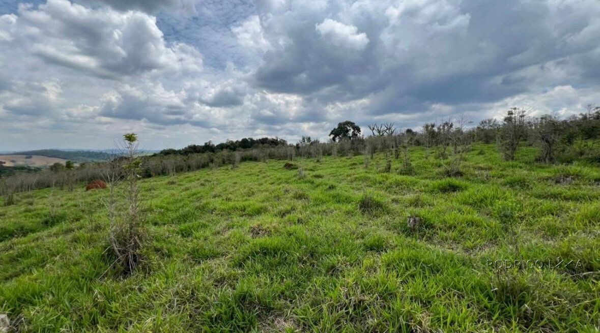 Fazenda para venda em Carvalhos MG