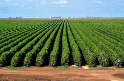 Fazenda para venda em Pirapora MG