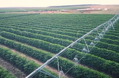 Fazenda para venda em Pirapora MG