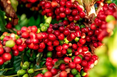 Fazenda para venda em Pirapora MG