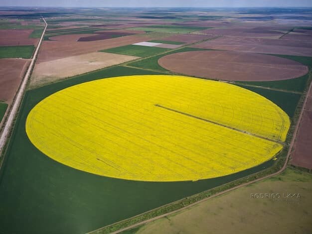 Fazenda para venda em Pirapora MG
