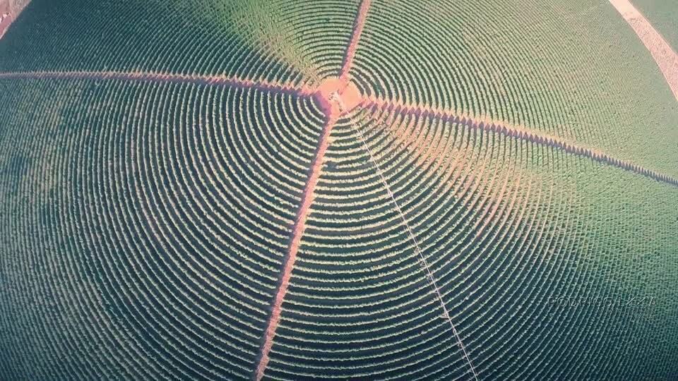 Fazenda para venda em Pirapora MG