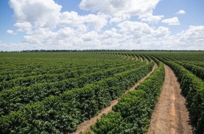 Fazenda para venda em Pirapora MG