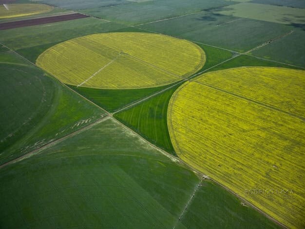 Fazenda para venda em Pirapora MG