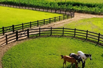 Fazenda para venda em Três Marias MG