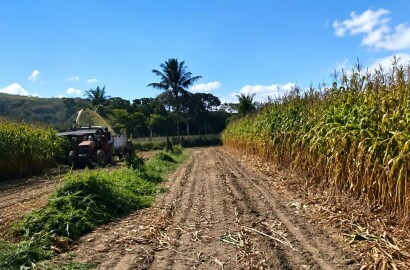 Fazenda para venda em Três Marias MG
