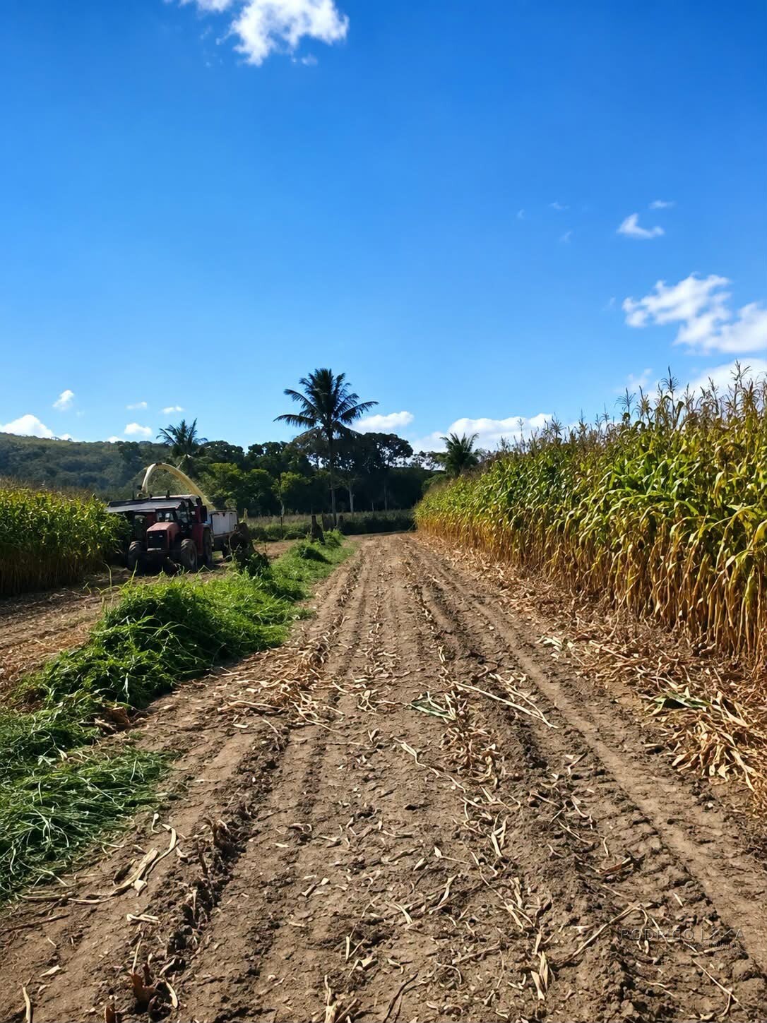 Fazenda para venda em Três Marias MG