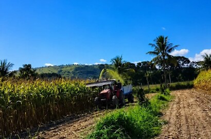 Fazenda para venda em Três Marias MG