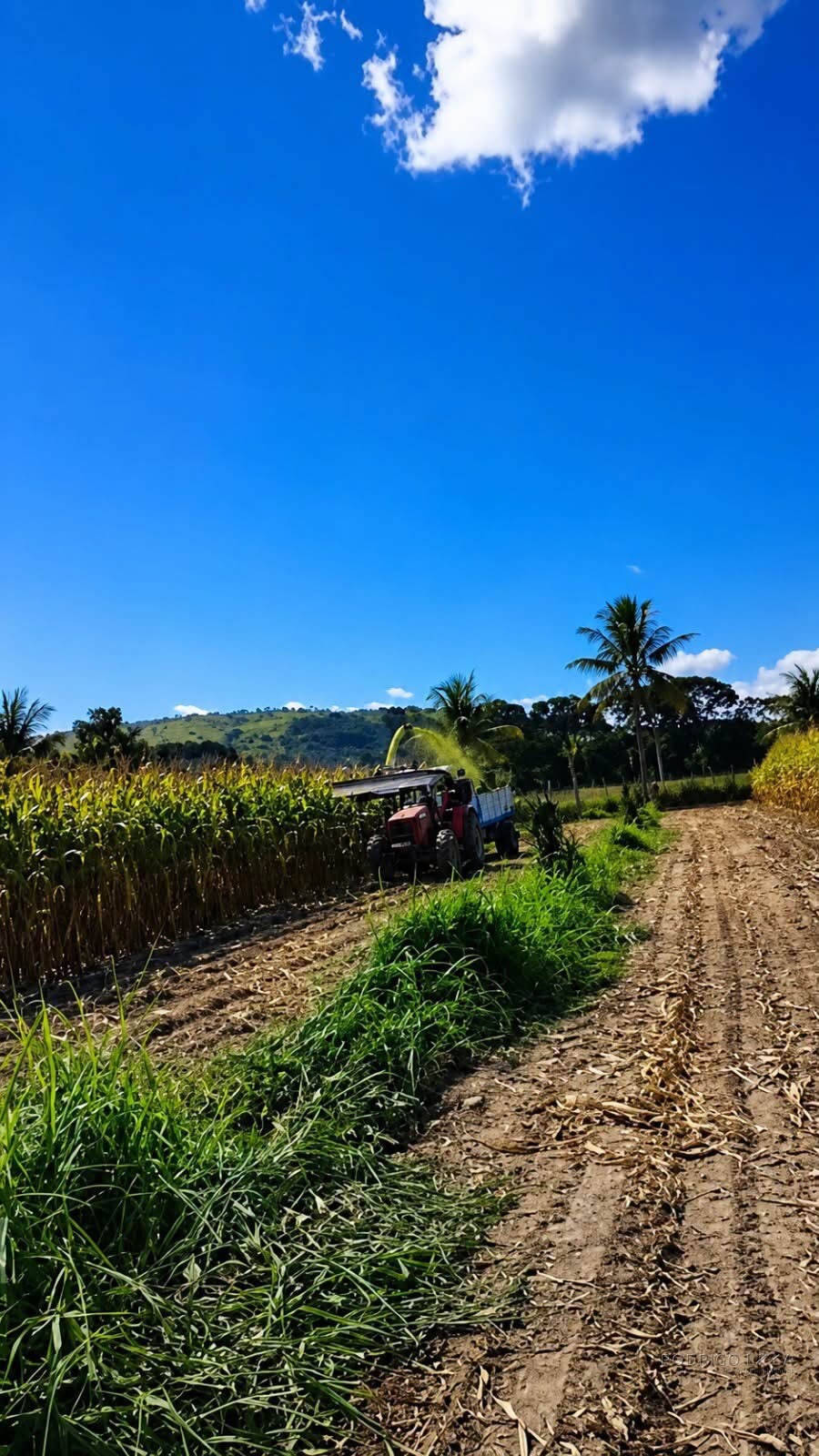 Fazenda para venda em Três Marias MG