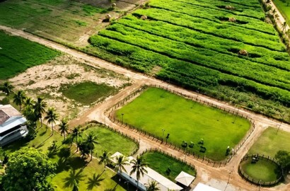 Fazenda para venda em Três Marias MG