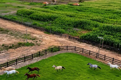 Fazenda para venda em Três Marias MG
