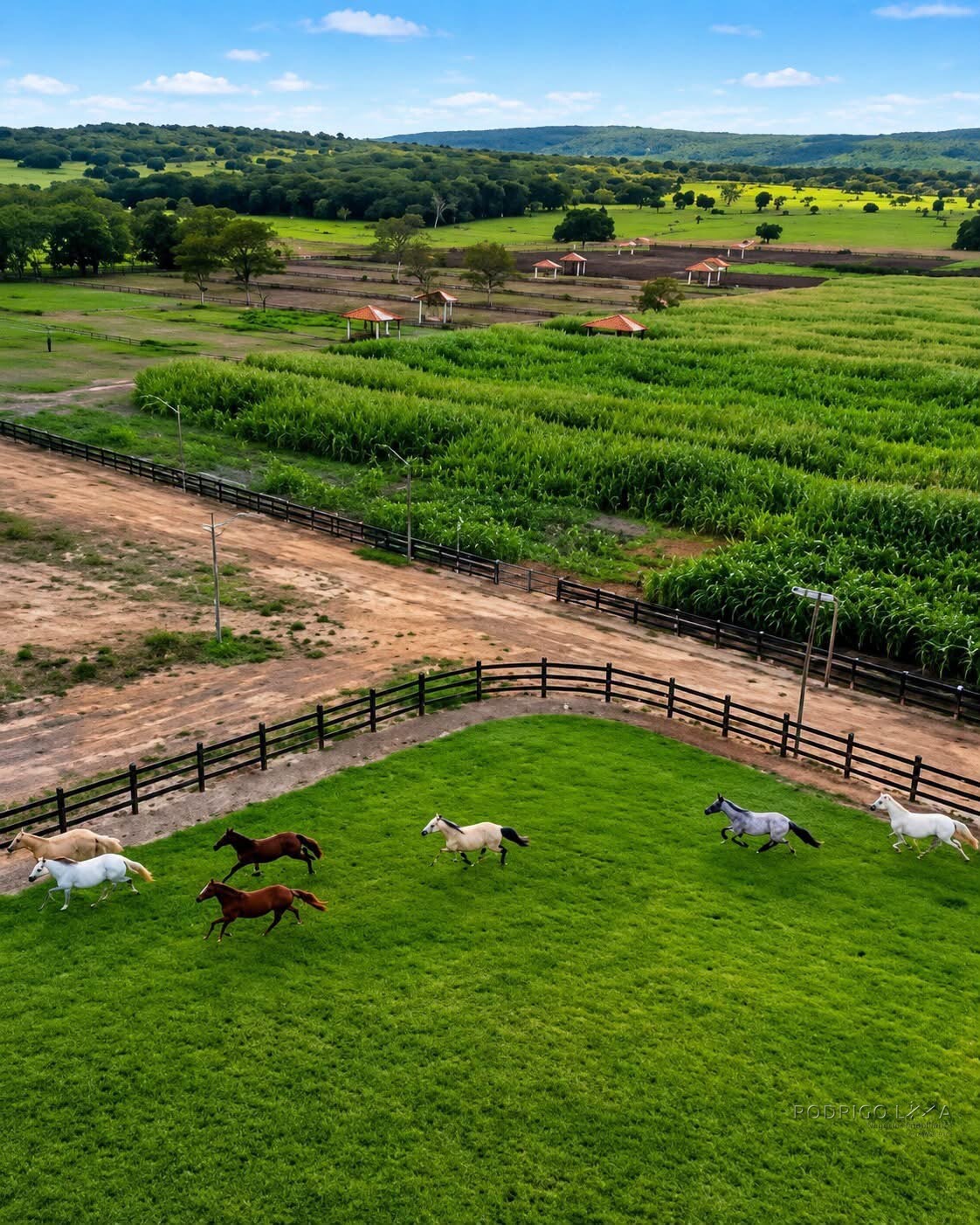 Fazenda para venda em Três Marias MG