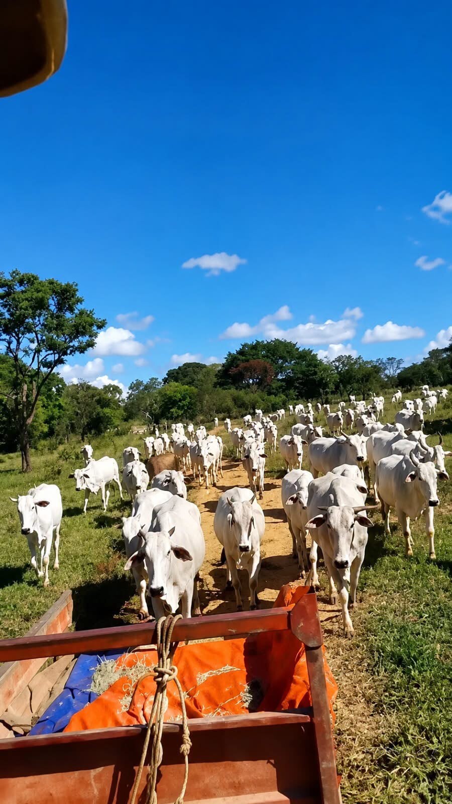 Fazenda para venda em Três Marias MG