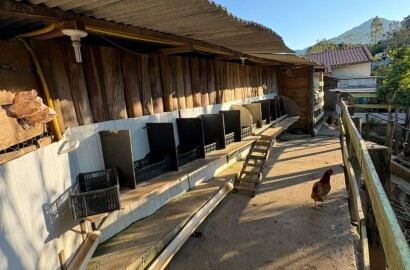 Chácara para venda em Dom Viçoso MG