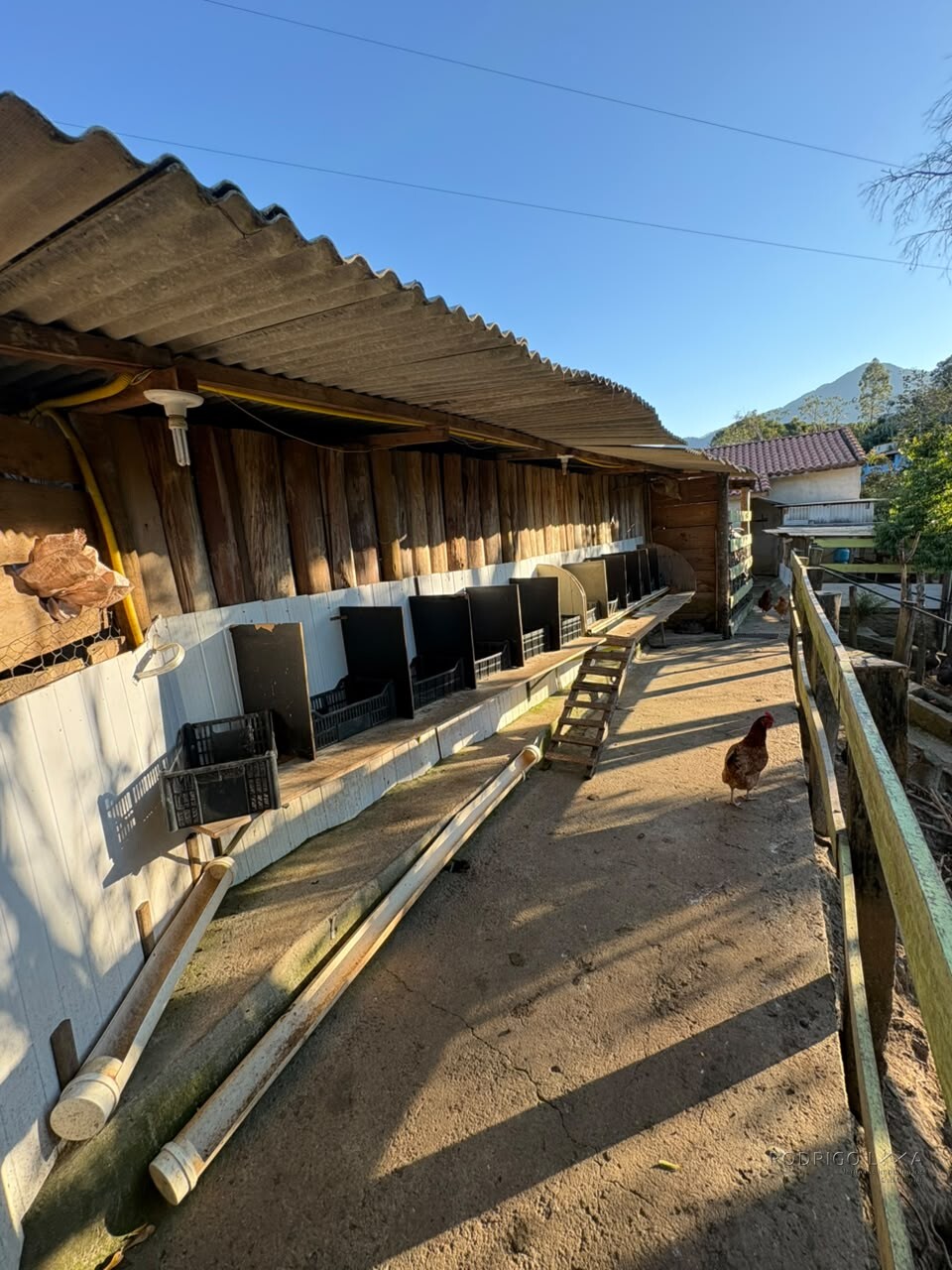 Chácara para venda em Dom Viçoso MG