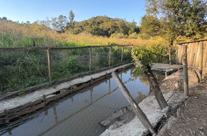 Chácara para venda em Dom Viçoso MG