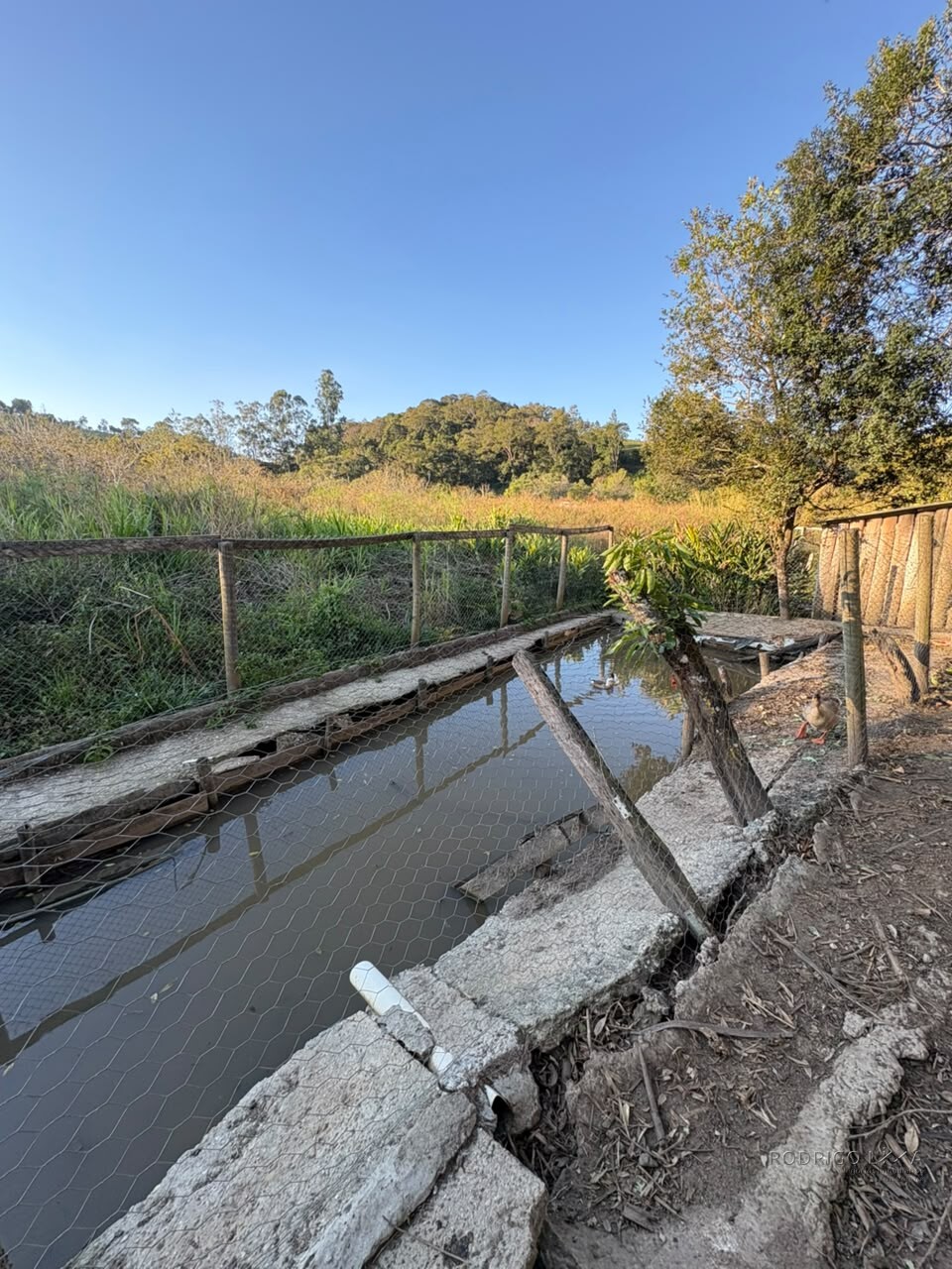 Chácara para venda em Dom Viçoso MG