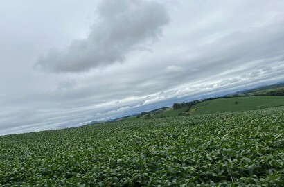 Fazenda para venda em Minduri MG