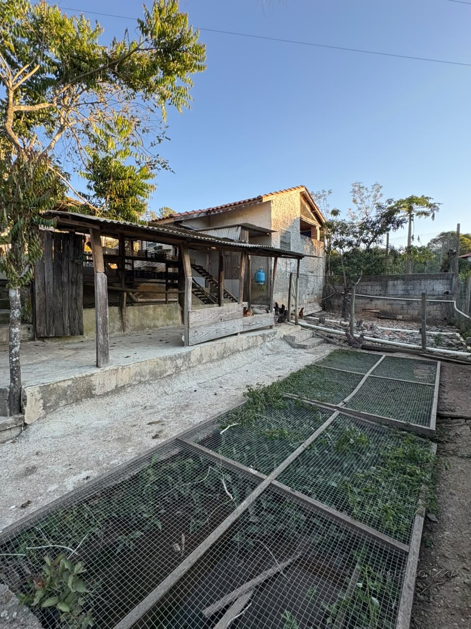 Chácara para venda em Dom Viçoso MG