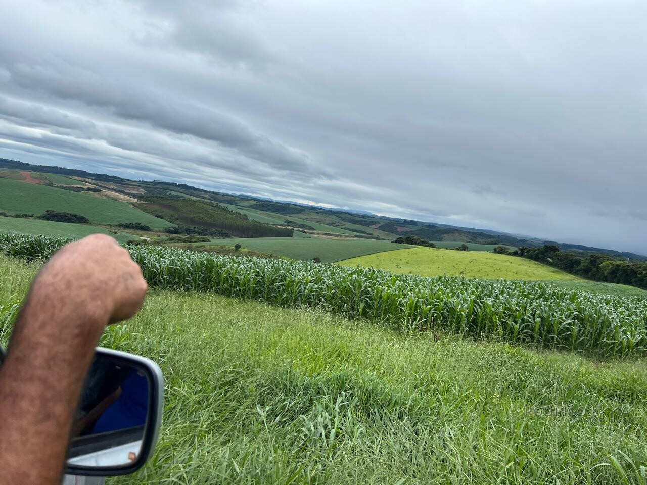 Fazenda para venda em Minduri MG