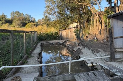 Chácara para venda em Dom Viçoso MG