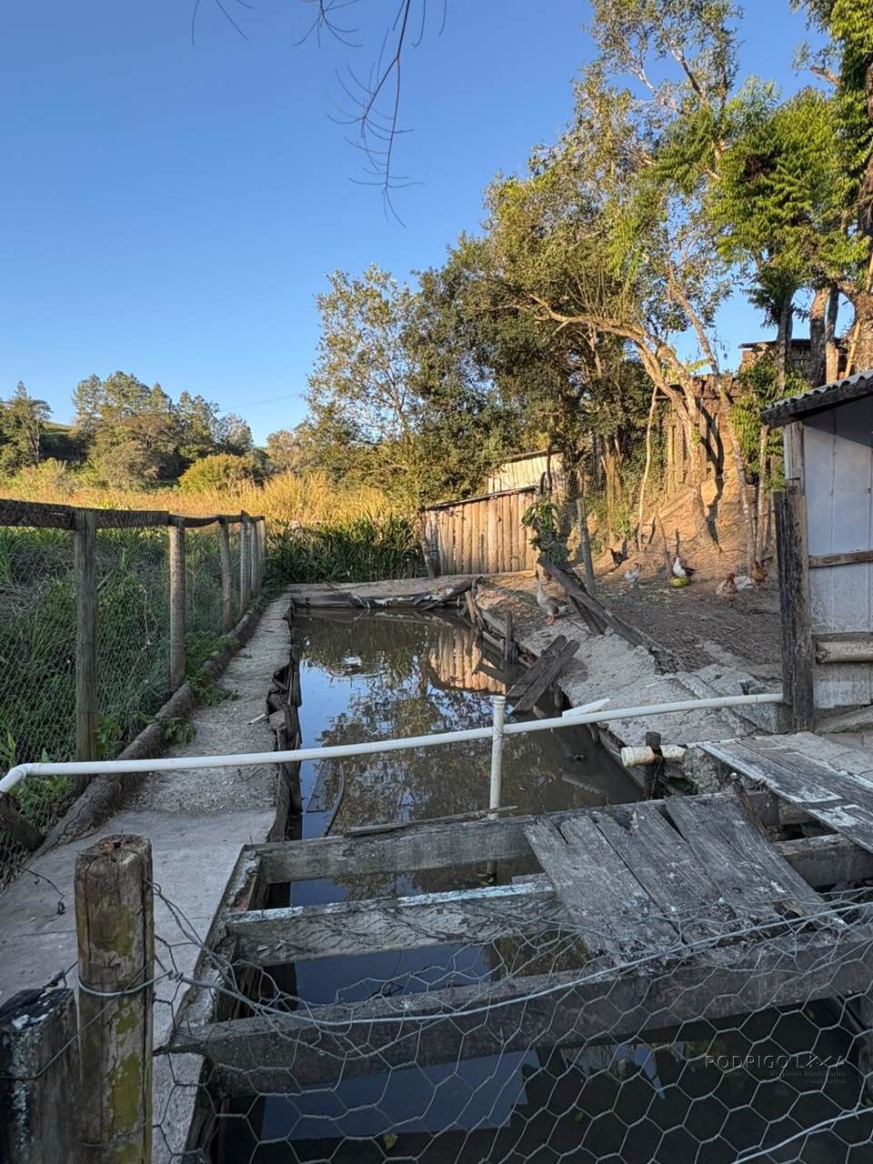 Chácara para venda em Dom Viçoso MG