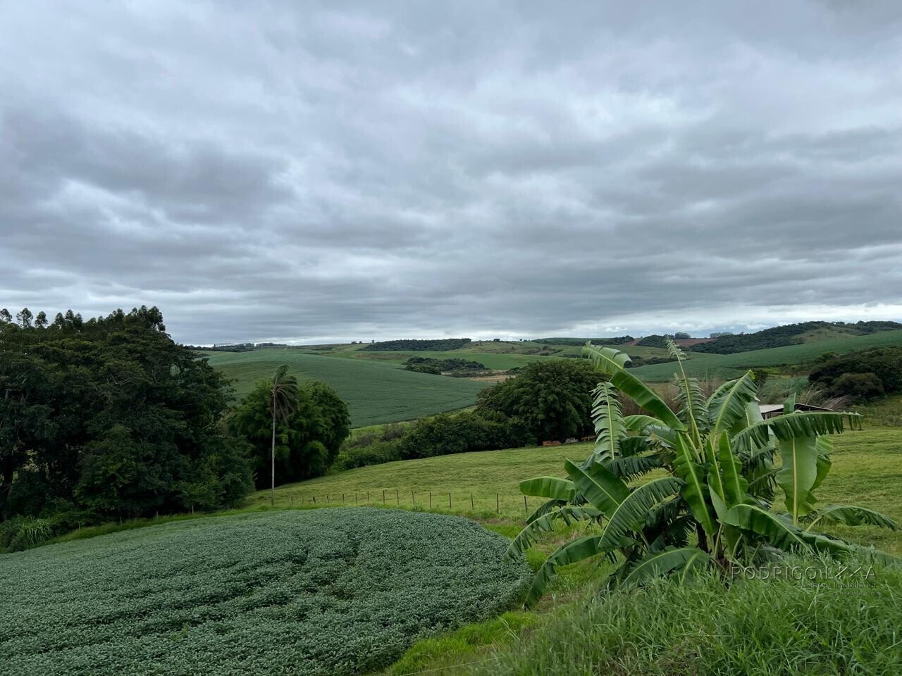 Fazenda para venda em Minduri MG