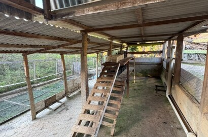 Chácara para venda em Dom Viçoso MG